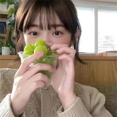 小老鼠历险记